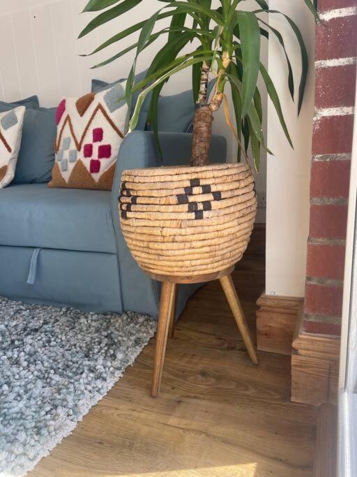 Apartament Sunnyside At Scurlage Farm Swansea Zewnętrze zdjęcie